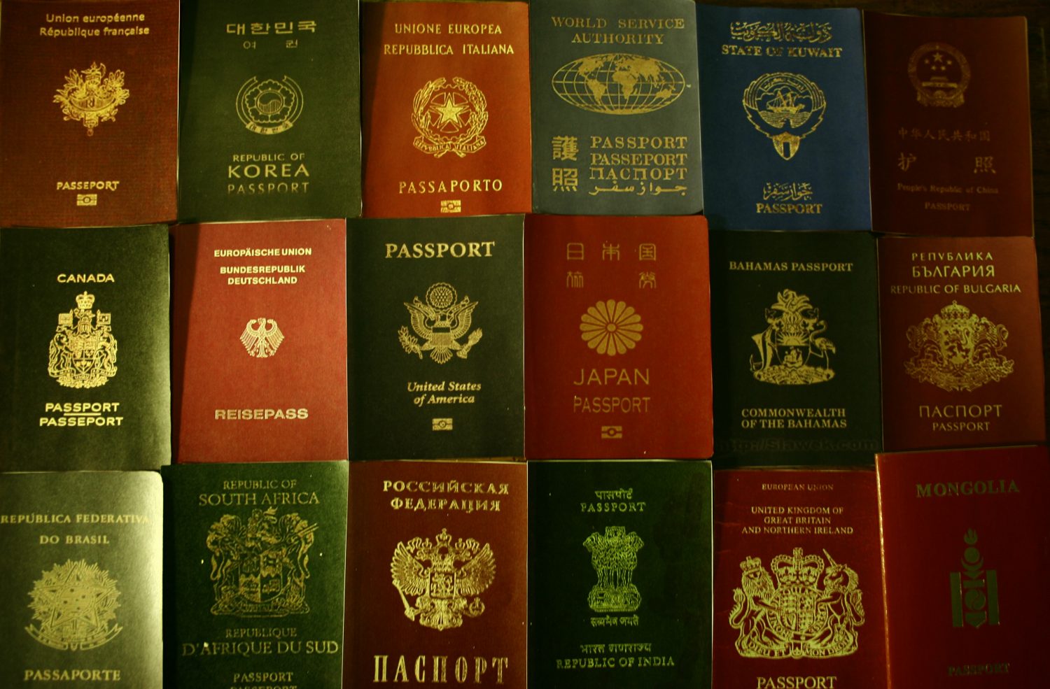 Global Digital Identity Goodbye National Passports Open Migration
