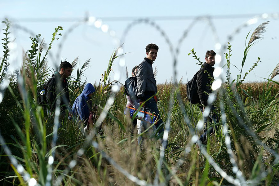 migration_30 july 2019