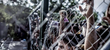 I migliori articoli su rifugiati e immigrazione 4/2026