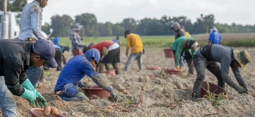 L’irregolarità creata dallo Stato